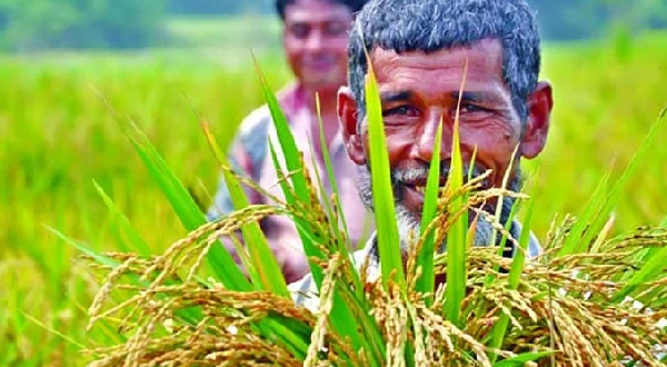 কৃষিপণ্য উৎপাদনে রোল মডেল বাংলাদেশ : কৃষিমন্ত্রী